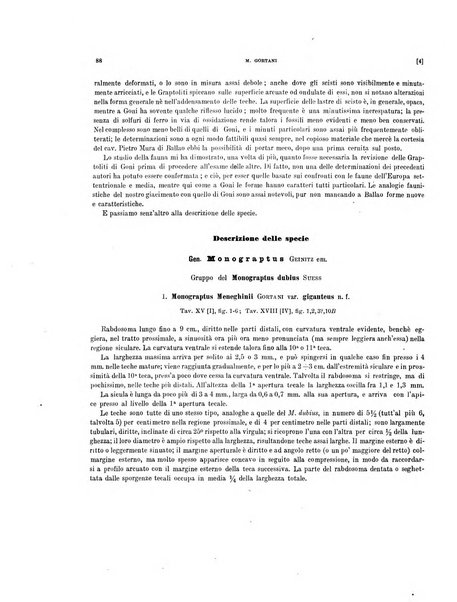 Palaeontographia Italica raccolta di monografie paleontologiche fondata da Mario Canavari nell'anno 1895