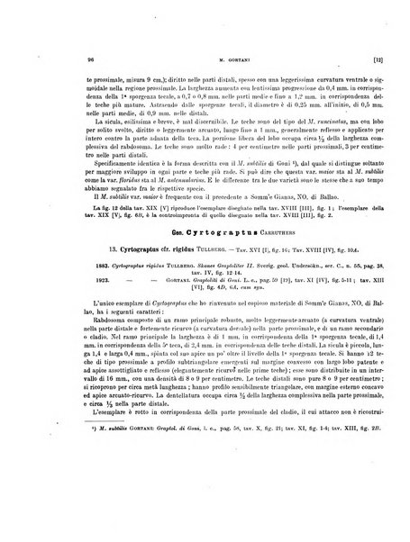 Palaeontographia Italica raccolta di monografie paleontologiche fondata da Mario Canavari nell'anno 1895