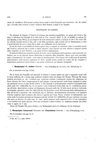 Palaeontographia Italica raccolta di monografie paleontologiche fondata da Mario Canavari nell'anno 1895