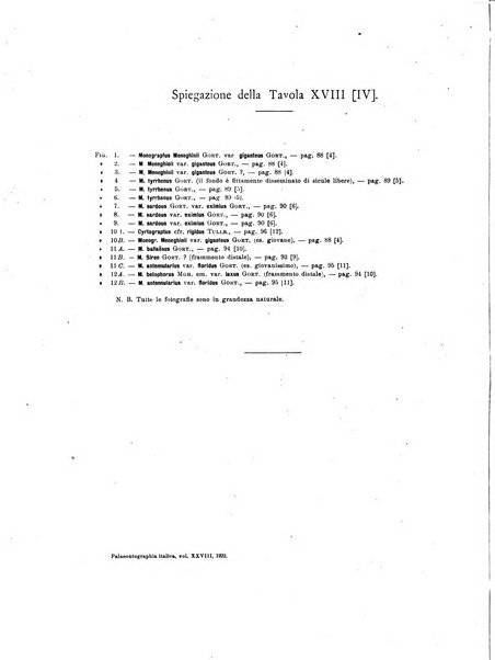 Palaeontographia Italica raccolta di monografie paleontologiche fondata da Mario Canavari nell'anno 1895