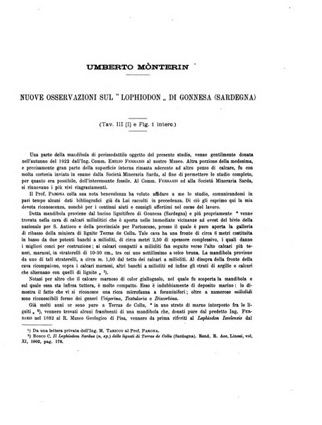 Palaeontographia Italica raccolta di monografie paleontologiche fondata da Mario Canavari nell'anno 1895