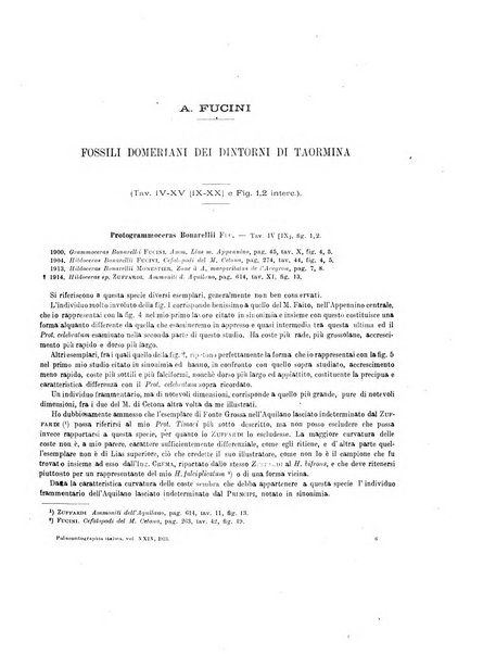 Palaeontographia Italica raccolta di monografie paleontologiche fondata da Mario Canavari nell'anno 1895