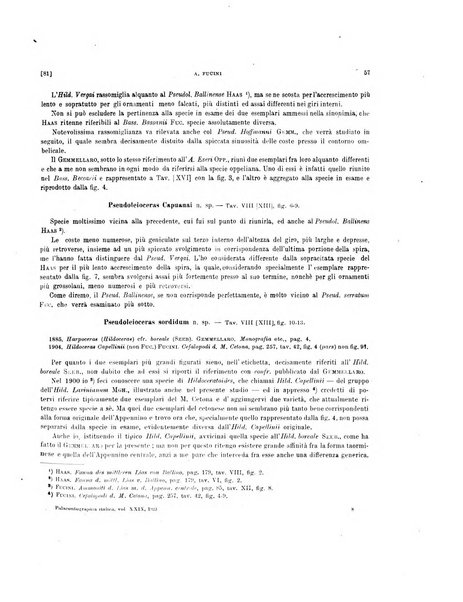 Palaeontographia Italica raccolta di monografie paleontologiche fondata da Mario Canavari nell'anno 1895