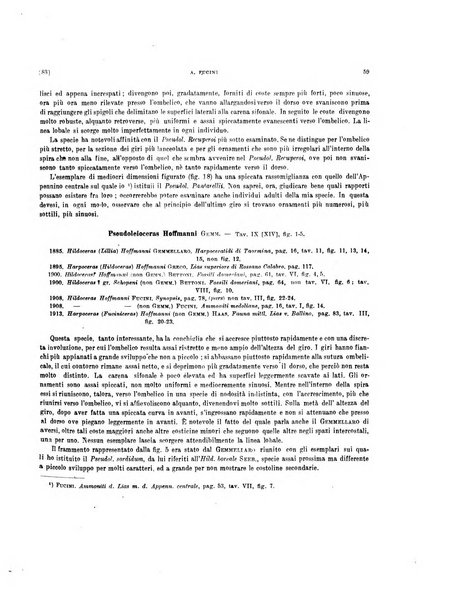 Palaeontographia Italica raccolta di monografie paleontologiche fondata da Mario Canavari nell'anno 1895