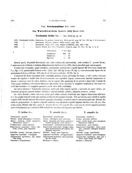 Palaeontographia Italica raccolta di monografie paleontologiche fondata da Mario Canavari nell'anno 1895