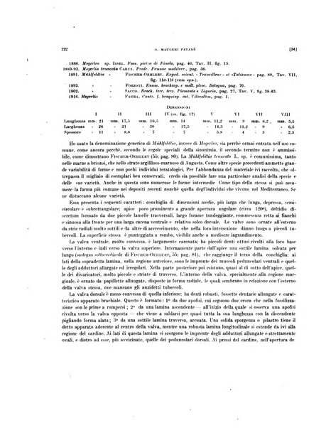 Palaeontographia Italica raccolta di monografie paleontologiche fondata da Mario Canavari nell'anno 1895