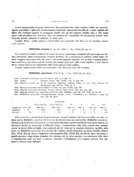 Palaeontographia Italica raccolta di monografie paleontologiche fondata da Mario Canavari nell'anno 1895