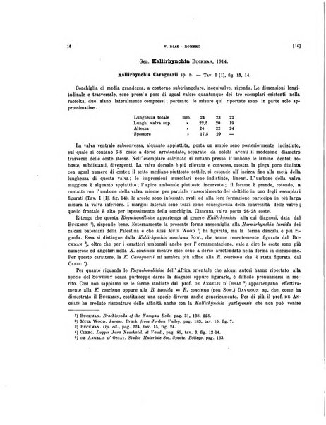 Palaeontographia Italica raccolta di monografie paleontologiche fondata da Mario Canavari nell'anno 1895