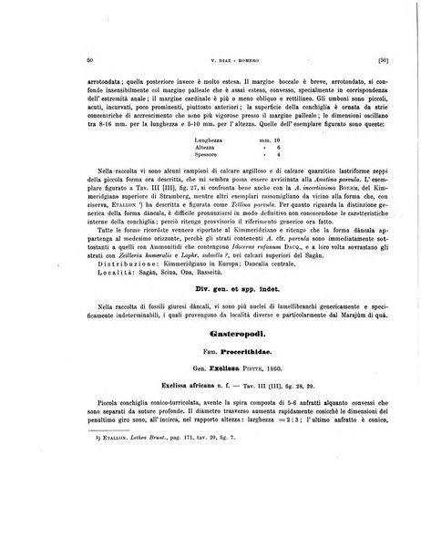 Palaeontographia Italica raccolta di monografie paleontologiche fondata da Mario Canavari nell'anno 1895