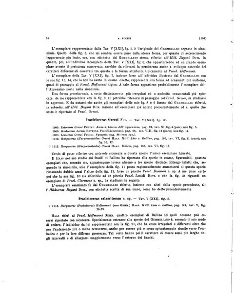 Palaeontographia Italica raccolta di monografie paleontologiche fondata da Mario Canavari nell'anno 1895