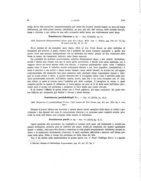 Palaeontographia Italica raccolta di monografie paleontologiche fondata da Mario Canavari nell'anno 1895