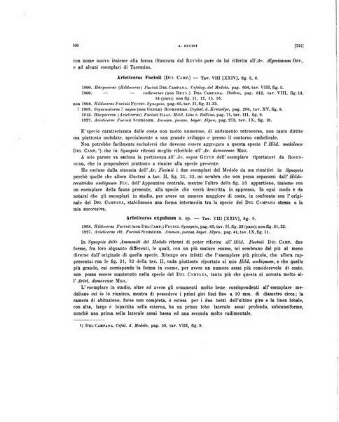 Palaeontographia Italica raccolta di monografie paleontologiche fondata da Mario Canavari nell'anno 1895