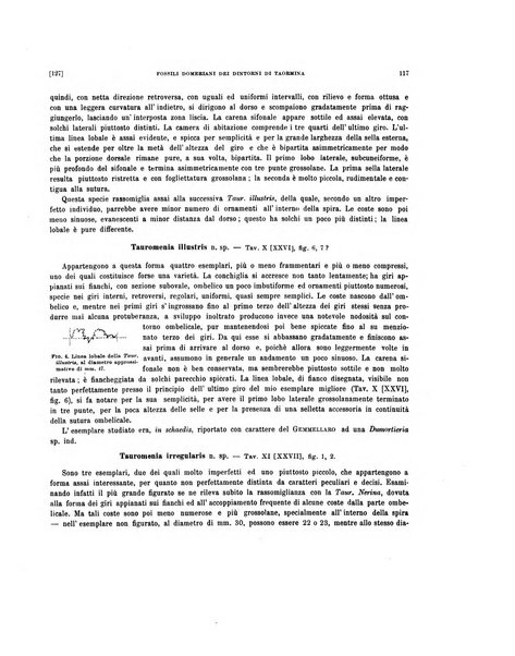 Palaeontographia Italica raccolta di monografie paleontologiche fondata da Mario Canavari nell'anno 1895