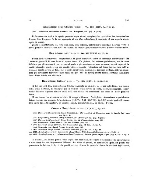 Palaeontographia Italica raccolta di monografie paleontologiche fondata da Mario Canavari nell'anno 1895