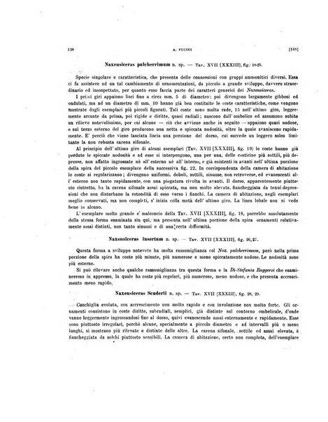 Palaeontographia Italica raccolta di monografie paleontologiche fondata da Mario Canavari nell'anno 1895