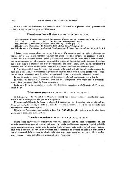 Palaeontographia Italica raccolta di monografie paleontologiche fondata da Mario Canavari nell'anno 1895