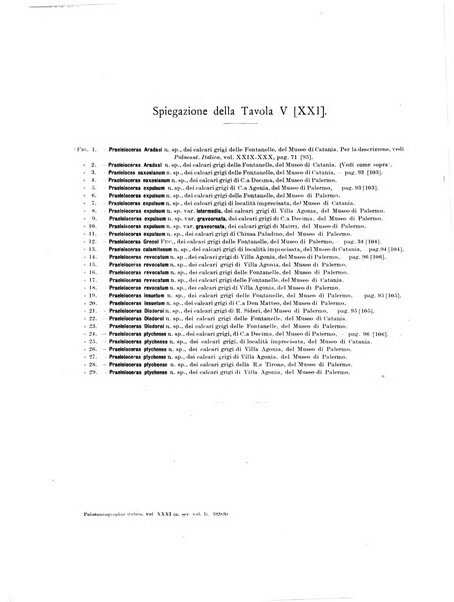 Palaeontographia Italica raccolta di monografie paleontologiche fondata da Mario Canavari nell'anno 1895