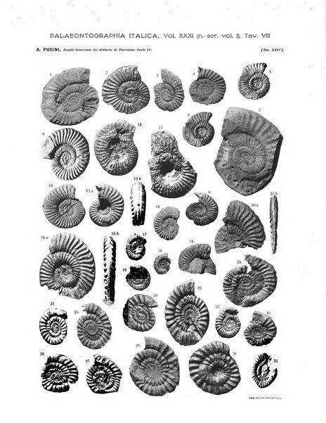 Palaeontographia Italica raccolta di monografie paleontologiche fondata da Mario Canavari nell'anno 1895