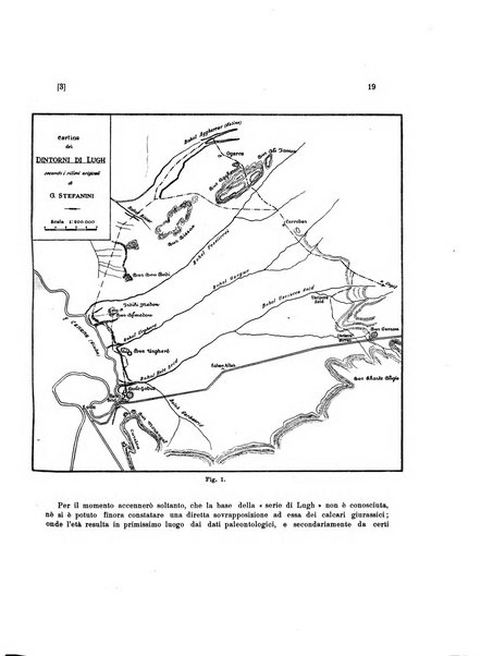 Palaeontographia Italica raccolta di monografie paleontologiche fondata da Mario Canavari nell'anno 1895