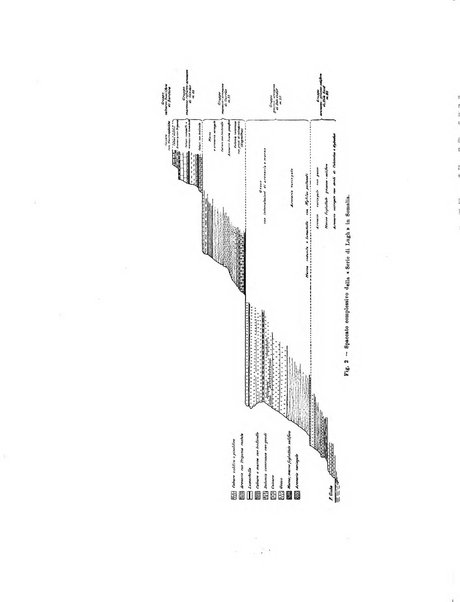 Palaeontographia Italica raccolta di monografie paleontologiche fondata da Mario Canavari nell'anno 1895