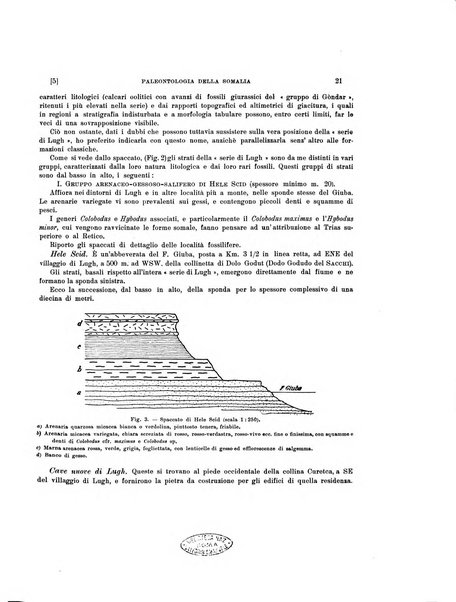 Palaeontographia Italica raccolta di monografie paleontologiche fondata da Mario Canavari nell'anno 1895