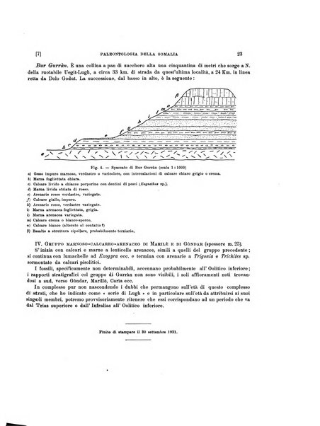 Palaeontographia Italica raccolta di monografie paleontologiche fondata da Mario Canavari nell'anno 1895