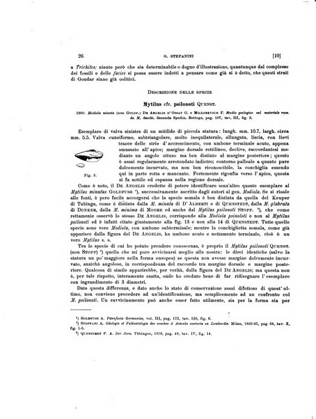 Palaeontographia Italica raccolta di monografie paleontologiche fondata da Mario Canavari nell'anno 1895