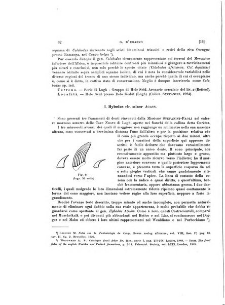 Palaeontographia Italica raccolta di monografie paleontologiche fondata da Mario Canavari nell'anno 1895