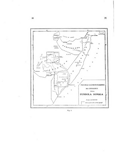 Palaeontographia Italica raccolta di monografie paleontologiche fondata da Mario Canavari nell'anno 1895