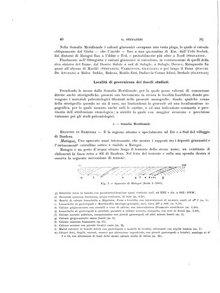 Palaeontographia Italica raccolta di monografie paleontologiche fondata da Mario Canavari nell'anno 1895