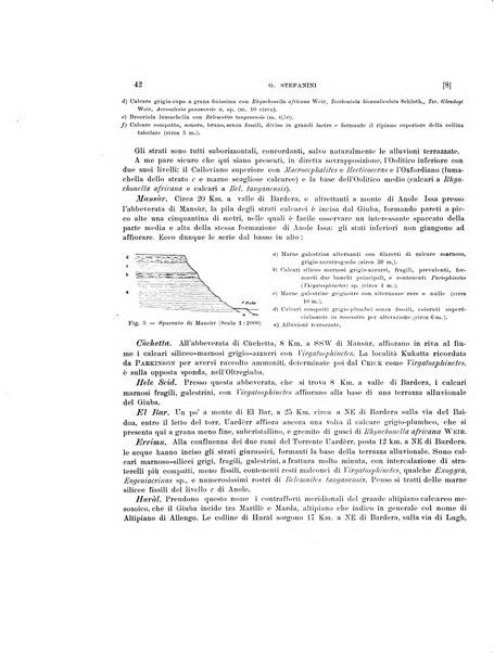 Palaeontographia Italica raccolta di monografie paleontologiche fondata da Mario Canavari nell'anno 1895