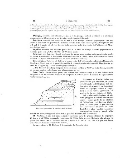 Palaeontographia Italica raccolta di monografie paleontologiche fondata da Mario Canavari nell'anno 1895