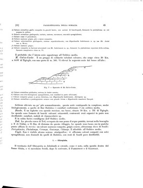 Palaeontographia Italica raccolta di monografie paleontologiche fondata da Mario Canavari nell'anno 1895