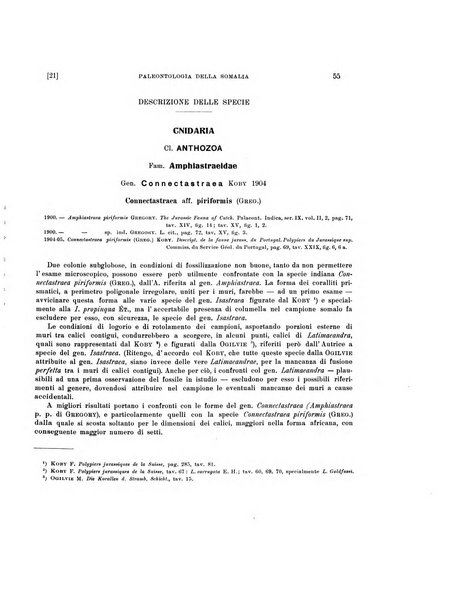 Palaeontographia Italica raccolta di monografie paleontologiche fondata da Mario Canavari nell'anno 1895