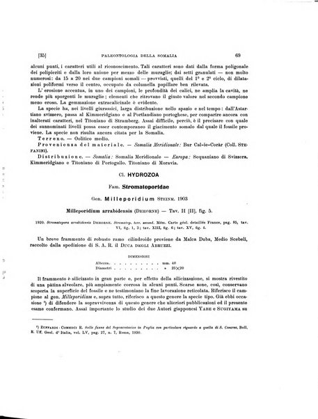 Palaeontographia Italica raccolta di monografie paleontologiche fondata da Mario Canavari nell'anno 1895