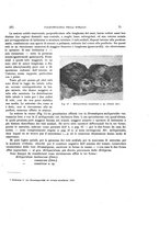 giornale/VEA0025754/1931/unico/00000081