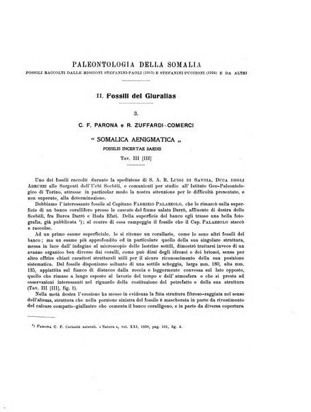 Palaeontographia Italica raccolta di monografie paleontologiche fondata da Mario Canavari nell'anno 1895