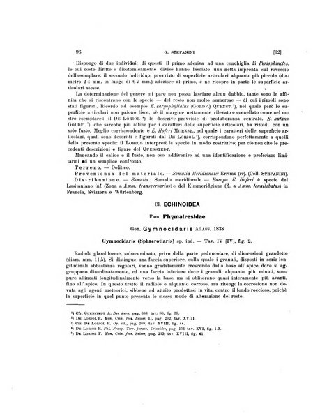 Palaeontographia Italica raccolta di monografie paleontologiche fondata da Mario Canavari nell'anno 1895