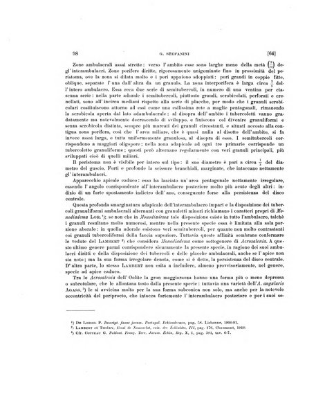 Palaeontographia Italica raccolta di monografie paleontologiche fondata da Mario Canavari nell'anno 1895