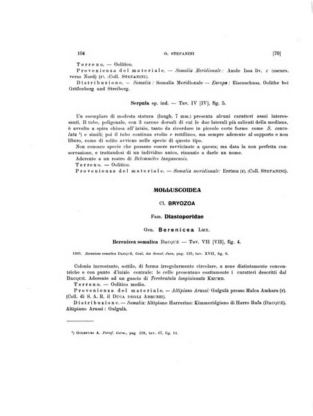 Palaeontographia Italica raccolta di monografie paleontologiche fondata da Mario Canavari nell'anno 1895