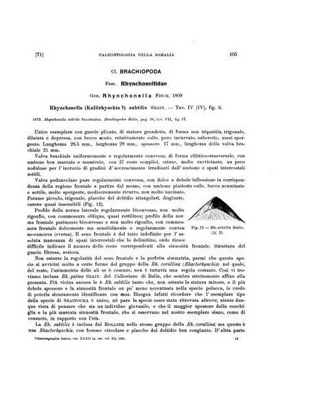 Palaeontographia Italica raccolta di monografie paleontologiche fondata da Mario Canavari nell'anno 1895