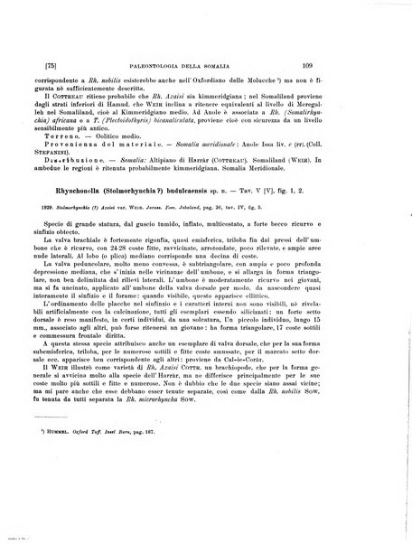 Palaeontographia Italica raccolta di monografie paleontologiche fondata da Mario Canavari nell'anno 1895