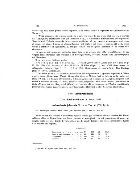 Palaeontographia Italica raccolta di monografie paleontologiche fondata da Mario Canavari nell'anno 1895