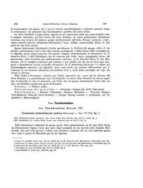 Palaeontographia Italica raccolta di monografie paleontologiche fondata da Mario Canavari nell'anno 1895