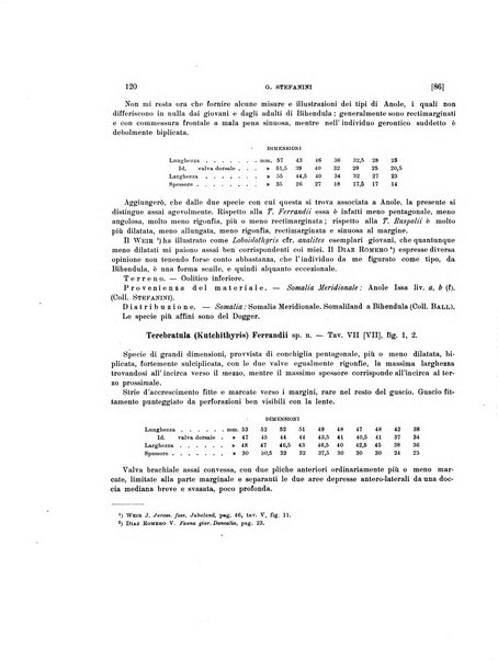 Palaeontographia Italica raccolta di monografie paleontologiche fondata da Mario Canavari nell'anno 1895