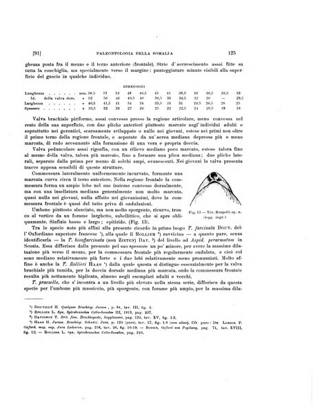 Palaeontographia Italica raccolta di monografie paleontologiche fondata da Mario Canavari nell'anno 1895