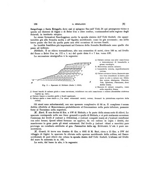 Palaeontographia Italica raccolta di monografie paleontologiche fondata da Mario Canavari nell'anno 1895