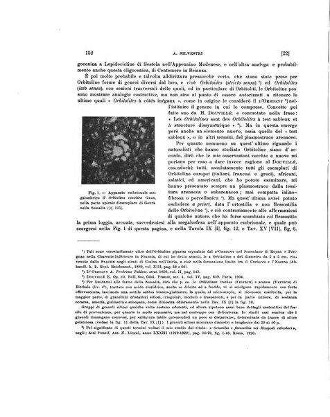 Palaeontographia Italica raccolta di monografie paleontologiche fondata da Mario Canavari nell'anno 1895