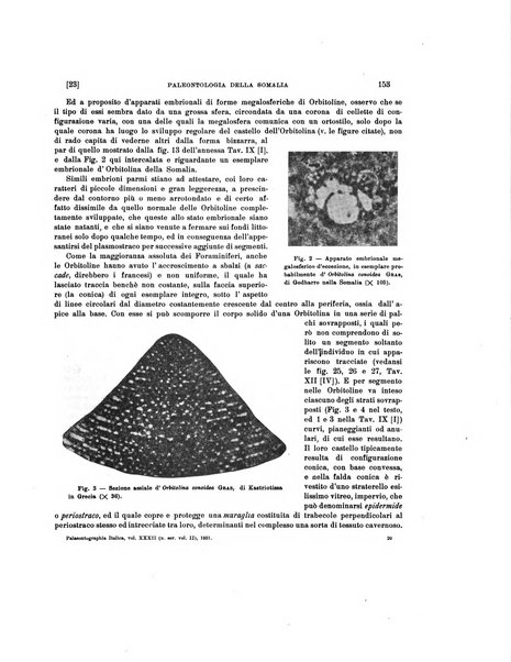 Palaeontographia Italica raccolta di monografie paleontologiche fondata da Mario Canavari nell'anno 1895