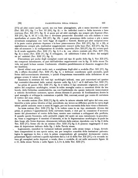 Palaeontographia Italica raccolta di monografie paleontologiche fondata da Mario Canavari nell'anno 1895